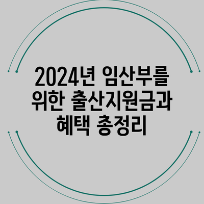 2024년 임산부를 위한 출산지원금과 혜택 총정리
