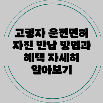 고령자 운전면허 자진 반납 방법과 혜택 자세히 알아보기