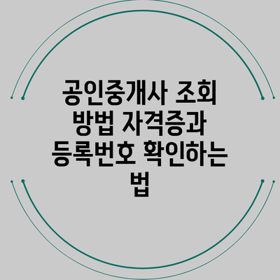공인중개사 조회 방법: 자격증과 등록번호 확인하는 법