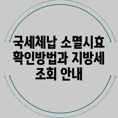 국세체납 소멸시효 확인방법과 지방세 조회 안내