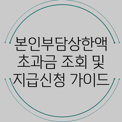 본인부담상한액 초과금 조회 및 지급신청 가이드