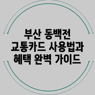 부산 동백전 교통카드 사용법과 혜택 완벽 가이드