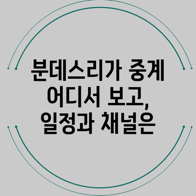 분데스리가 중계: 어디서 보고, 일정과 채널은?