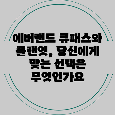 에버랜드 큐패스와 플랜잇, 당신에게 맞는 선택은 무엇인가요?