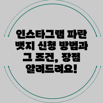 인스타그램 파란 뱃지 신청 방법과 그 조건, 장점 알려드려요!