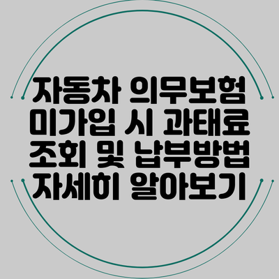 자동차 의무보험 미가입 시 과태료 조회 및 납부방법 자세히 알아보기