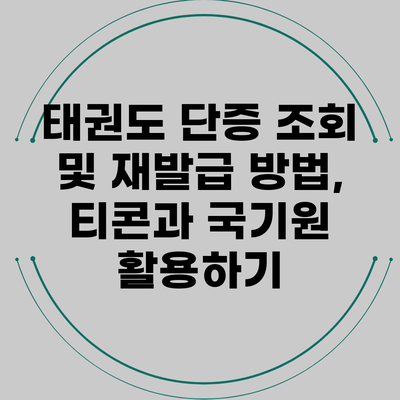 태권도 단증 조회 및 재발급 방법, 티콘과 국기원 활용하기