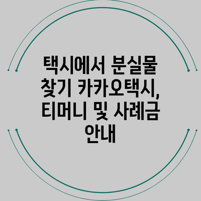 택시에서 분실물 찾기: 카카오택시, 티머니 및 사례금 안내